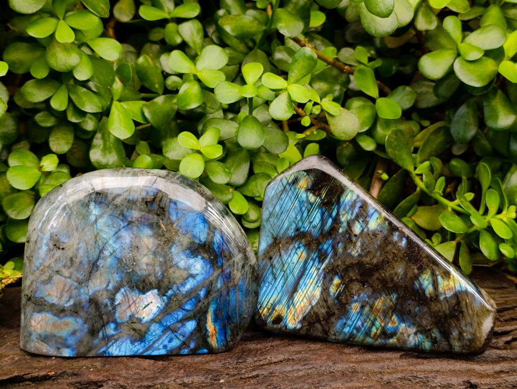 Polished Labradorite Standing Free Forms x 2 From Tulear, Madagascar