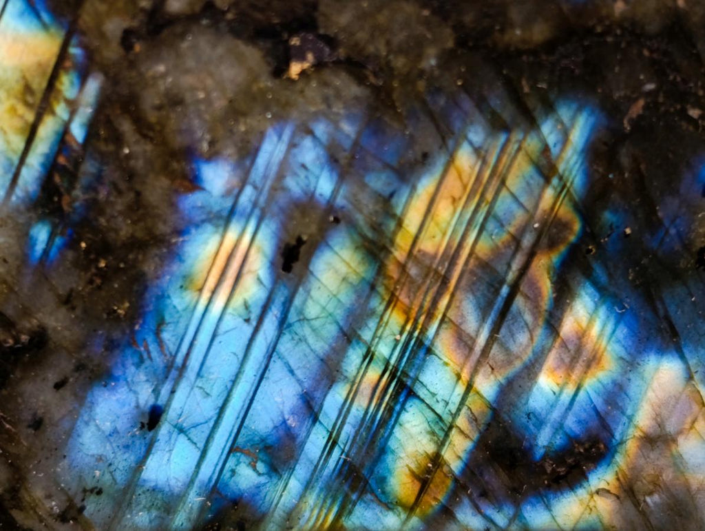 Polished Labradorite Standing Free Forms x 2 From Tulear, Madagascar