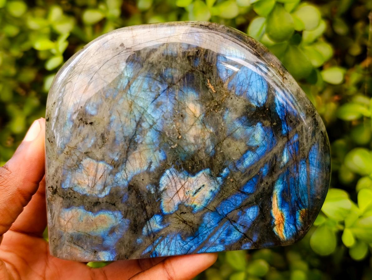 Polished Labradorite Standing Free Forms x 2 From Tulear, Madagascar