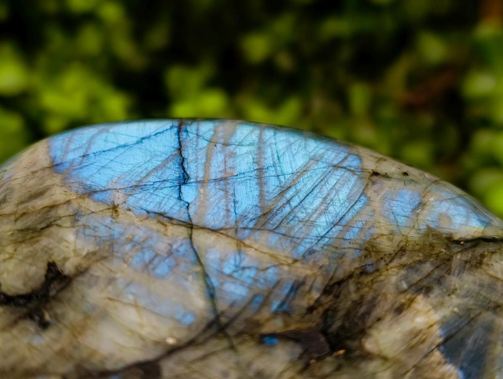 Polished Labradorite Standing Free Forms x 2 From Tulear, Madagascar