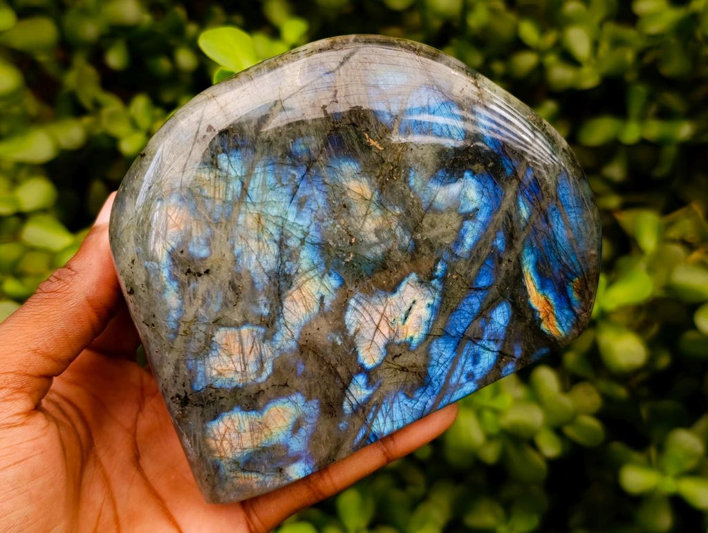 Polished Labradorite Standing Free Forms x 2 From Tulear, Madagascar