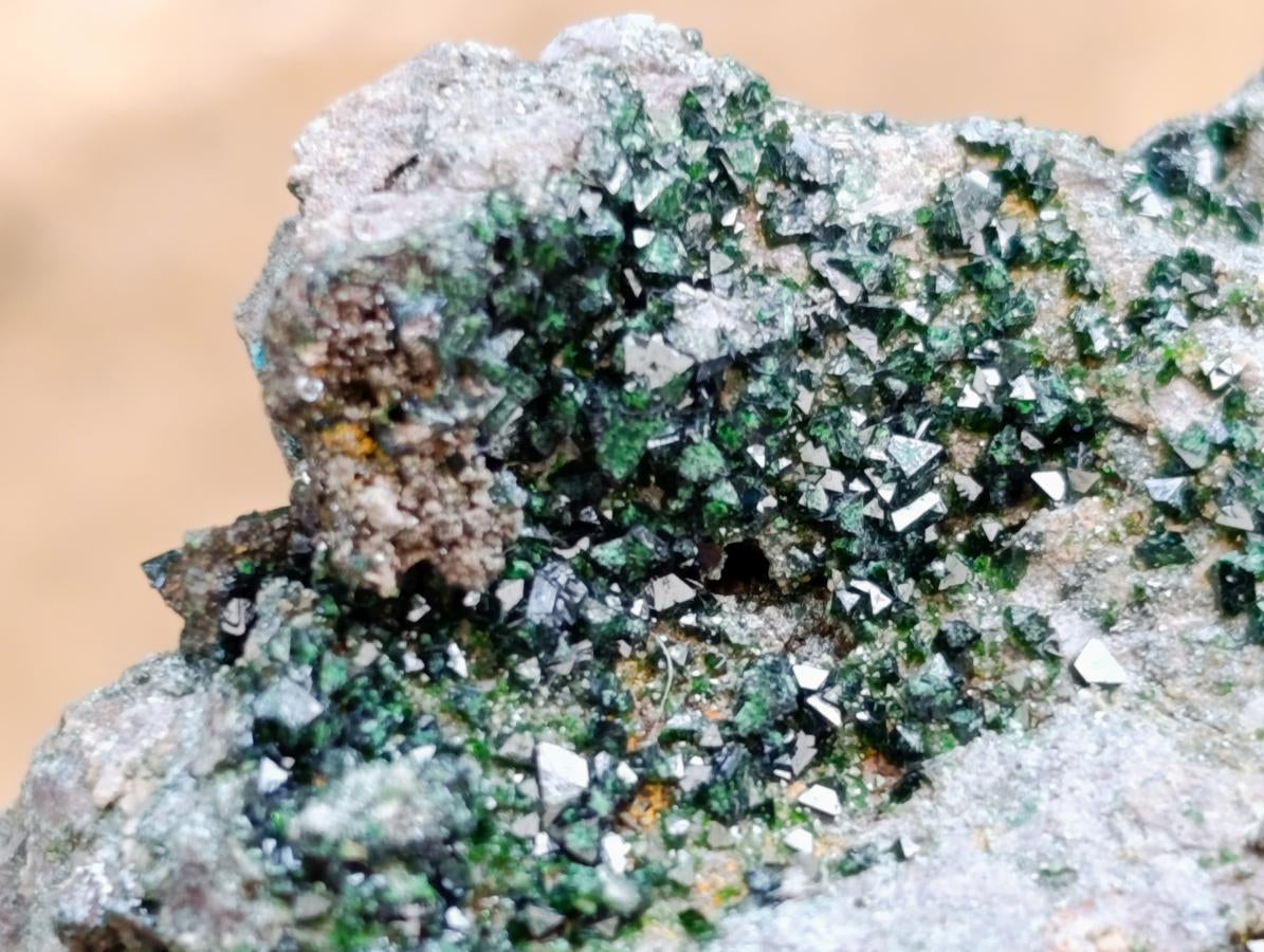 Natural Libethenite Crystals On Dolomite Matrix Specimens x 6 From Shituru, Congo