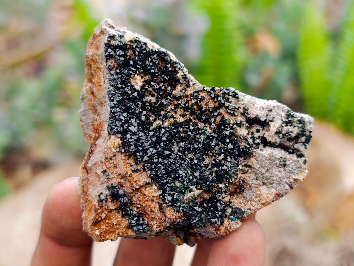 Natural Libethenite Crystals On Dolomite Matrix Specimens x 6 From Shituru, Congo