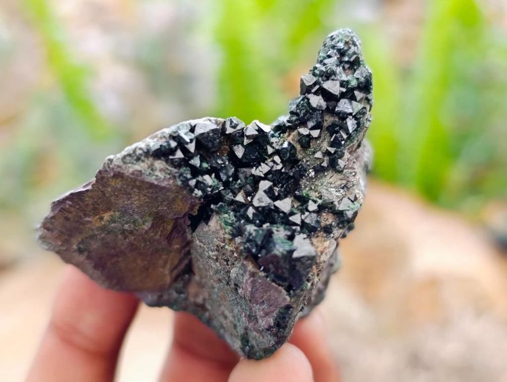 Natural Libethenite Crystals On Dolomite Matrix Specimens x 6 From Shituru, Congo