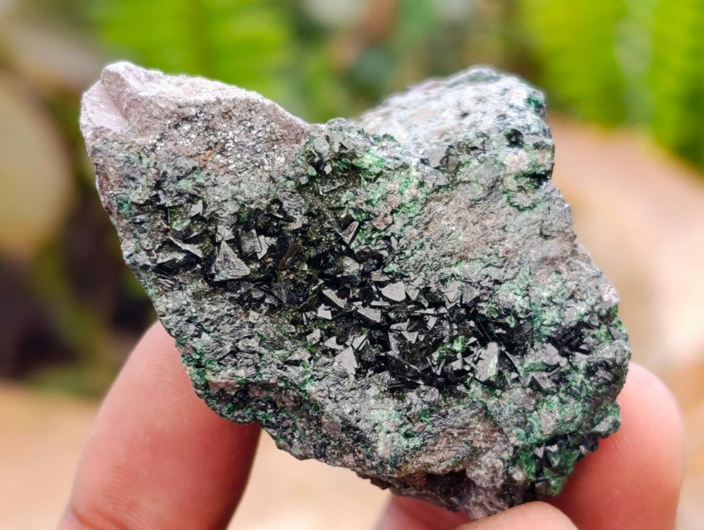 Natural Libethenite Crystals On Dolomite Matrix Specimens x 6 From Shituru, Congo