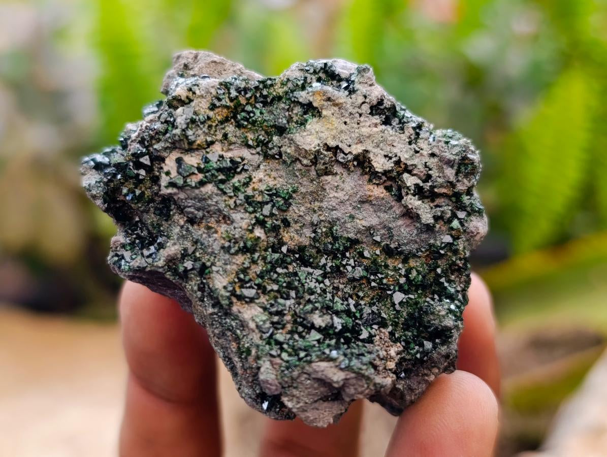 Natural Libethenite Crystals On Dolomite Matrix Specimens x 6 From Shituru, Congo