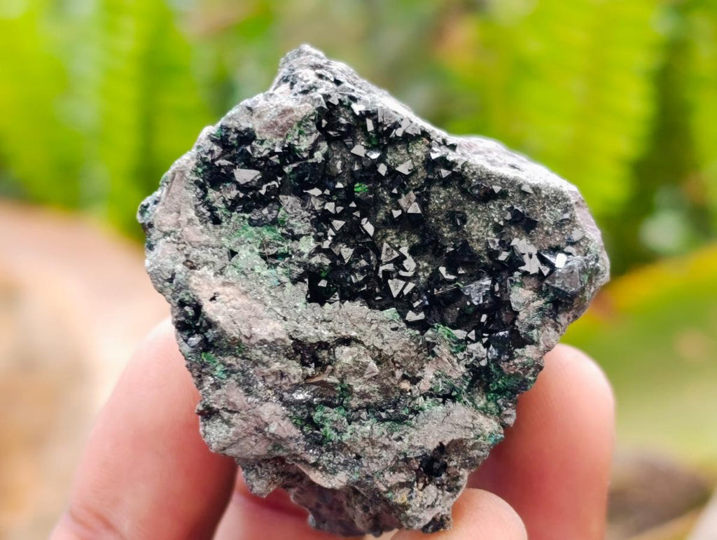 Natural Libethenite Crystals On Dolomite Matrix Specimens x 6 From Shituru, Congo