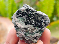 Natural Libethenite Crystals On Dolomite Matrix Specimens x 6 From Shituru, Congo