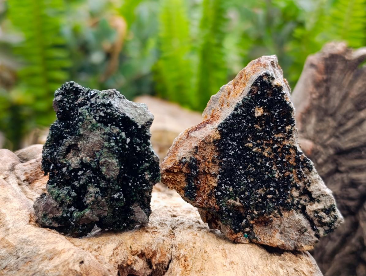 Natural Libethenite Crystals On Dolomite Matrix Specimens x 6 From Shituru, Congo