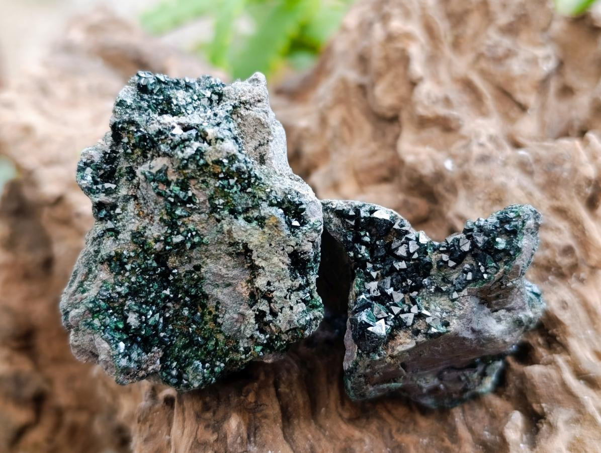 Natural Libethenite Crystals On Dolomite Matrix Specimens x 6 From Shituru, Congo