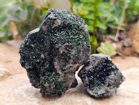 Natural Libethenite Crystals On Dolomite Matrix Specimens x 6 From Shituru, Congo