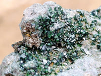 Natural Libethenite Crystals On Dolomite Matrix Specimens x 6 From Shituru, Congo