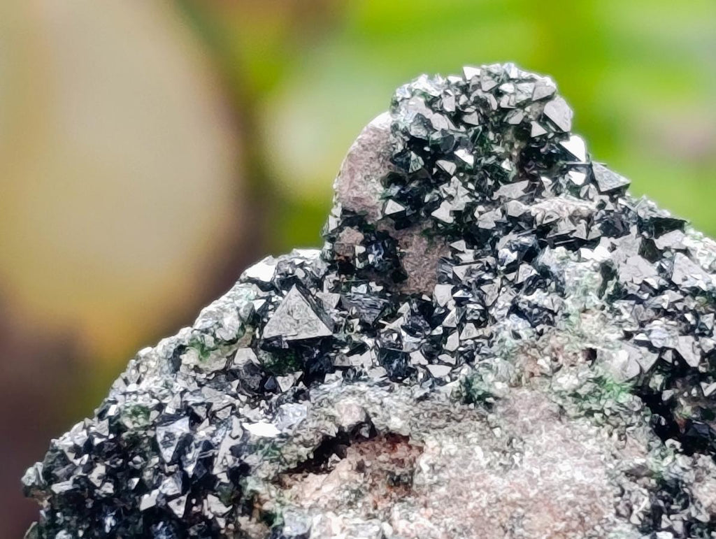Natural Libethenite Crystals On Dolomite Matrix Specimens x 6 From Shituru, Congo