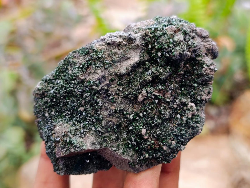 Natural Libethenite Crystals On Dolomite Matrix Specimens x 6 From Shituru, Congo