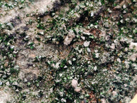 Natural Libethenite Crystals On Dolomite Matrix Specimens x 6 From Shituru, Congo