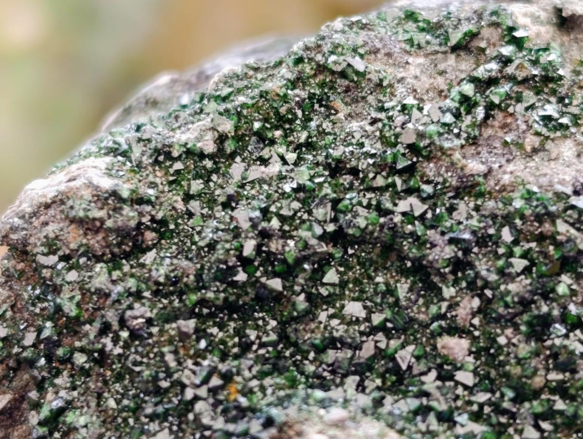 Natural Libethenite Crystals On Dolomite Matrix Specimens x 6 From Shituru, Congo