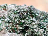 Natural Libethenite Crystals On Dolomite Matrix Specimens x 6 From Shituru, Congo