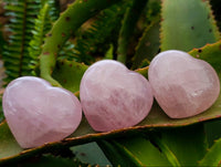 Polished Rose Quartz Hearts x 12 From Madagascar