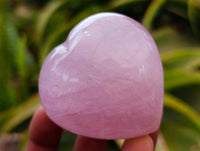 Polished Rose Quartz Hearts x 12 From Madagascar