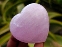 Polished Rose Quartz Hearts x 12 From Madagascar