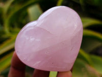 Polished Rose Quartz Hearts x 12 From Madagascar