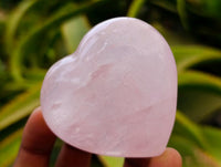Polished Rose Quartz Hearts x 12 From Madagascar