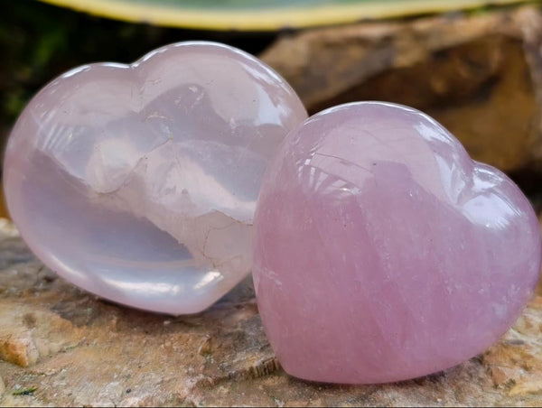 Polished Rose Quartz Hearts x 12 From Madagascar