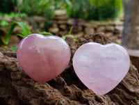 Polished Rose Quartz Hearts x 12 From Madagascar