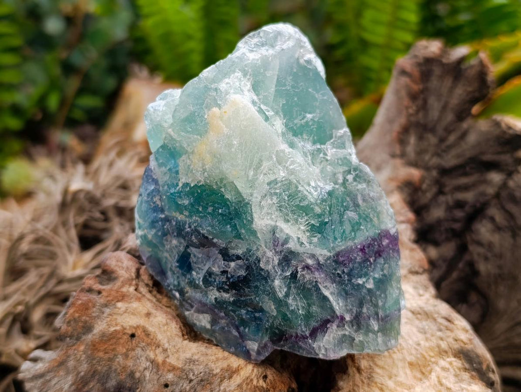 Natural Watermelon Fluorite Cobbed Specimens x 5 From Uis, Namibia