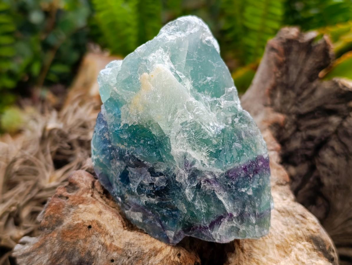 Natural Watermelon Fluorite Cobbed Specimens x 5 From Uis, Namibia