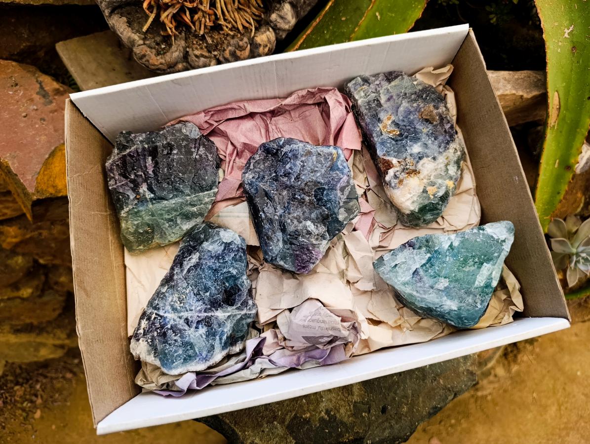 Natural Watermelon Fluorite Cobbed Specimens x 5 From Uis, Namibia
