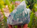 Natural Watermelon Fluorite Cobbed Specimens x 5 From Uis, Namibia