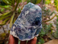 Natural Watermelon Fluorite Cobbed Specimens x 5 From Uis, Namibia