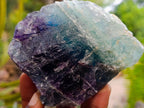 Natural Watermelon Fluorite Cobbed Specimens x 5 From Uis, Namibia