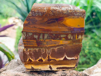 Polished On One Side Nguni Jasper Slices x 3 From Northern Cape, South Africa