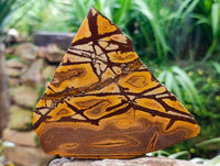 Polished On One Side Nguni Jasper Slices x 3 From Northern Cape, South Africa