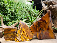 Polished On One Side Nguni Jasper Slices x 3 From Northern Cape, South Africa