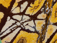 Polished On One Side Nguni Jasper Slices x 3 From Northern Cape, South Africa