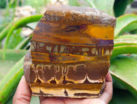 Polished On One Side Nguni Jasper Slices x 3 From Northern Cape, South Africa