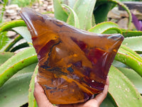 Polished On One Side Nguni Jasper Slices x 3 From Northern Cape, South Africa