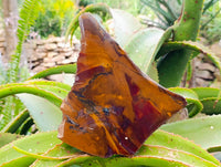 Polished On One Side Nguni Jasper Slices x 3 From Northern Cape, South Africa