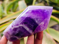 Polished Chevron Amethyst Crystals x 6 From Zambia