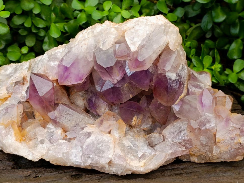 Natural Large Jacaranda Amethyst Cluster x 1 From Mumbwa, Zambia