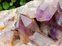 Natural Large Jacaranda Amethyst Cluster x 1 From Mumbwa, Zambia