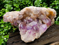Natural Large Jacaranda Amethyst Cluster x 1 From Mumbwa, Zambia