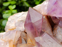 Natural Large Jacaranda Amethyst Cluster x 1 From Mumbwa, Zambia