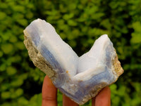 Natural Blue Lace Agate Geode Specimens x 12 From Nsanje, Malawi