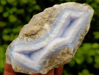 Natural Blue Lace Agate Geode Specimens x 12 From Nsanje, Malawi