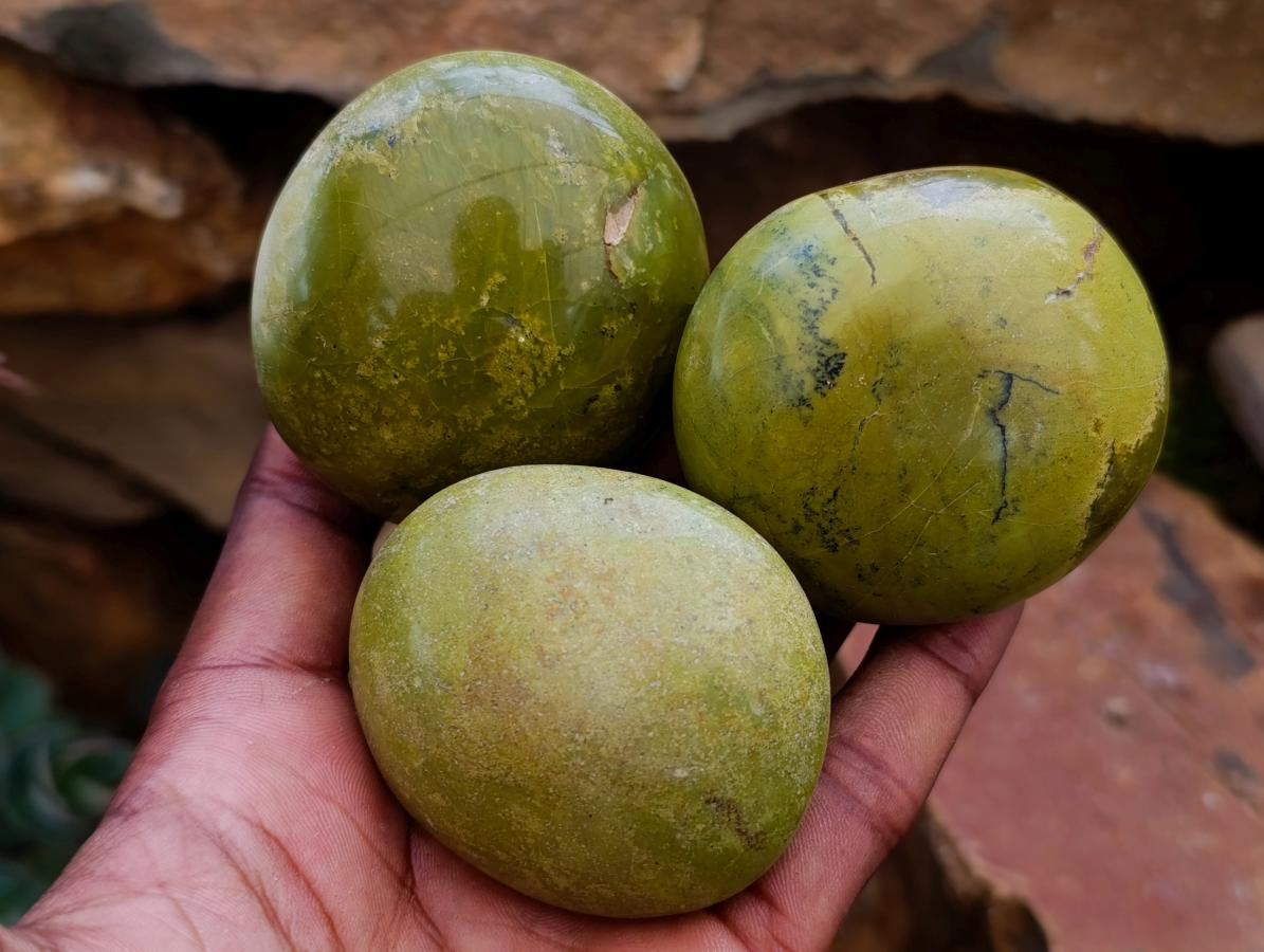 Polished Green Opal Galets x 12 From Betroka, Madagascar