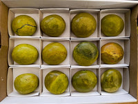 Polished Green Opal Galets x 12 From Betroka, Madagascar